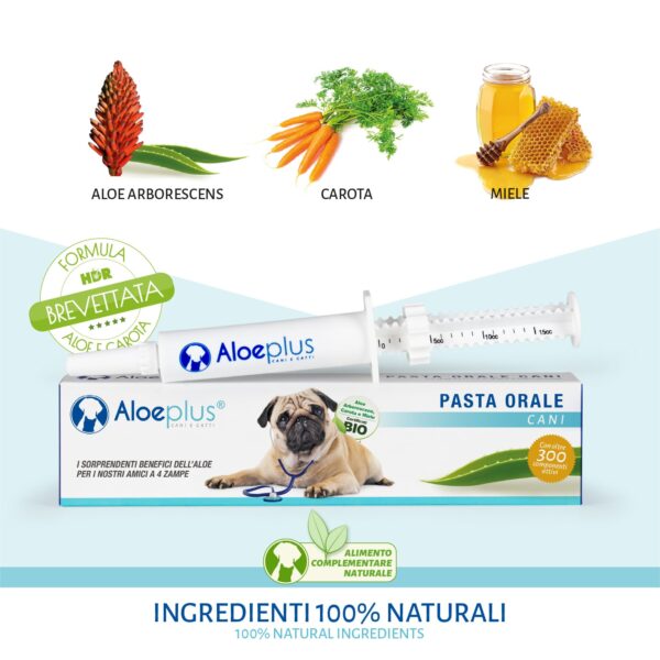 Aloeplus® Pasta orale cani Ingredienti