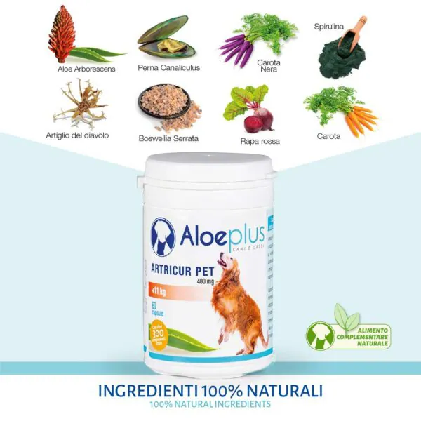 Aloeplus® Artricur Pet 11+ Kg Ingredienti