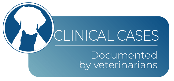 Clinical cases - Direct experience of veterinarians